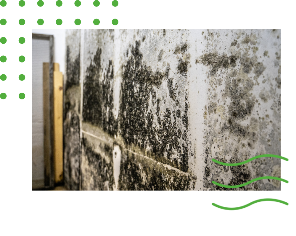 Air Duct Cleaning in Pendleton IN