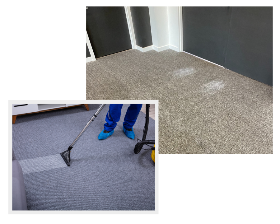 Professional Commercial Carpet Cleaning 